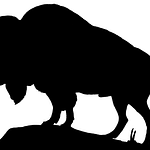Vintage-Buffalo-Silhouette-GraphicsFairy